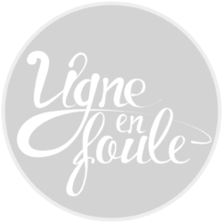 LOGO-ORIGINAL-VEF-fondu LOGO-ORIGINAL-VEF-fondu